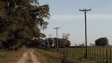 Row Of Wooden Telephone Poles Along Rural Road, In Argentina.  Zoom In.
