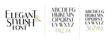 Vector Illustration. Stylish Elegant Vector Composite Font. Set Of Letters English