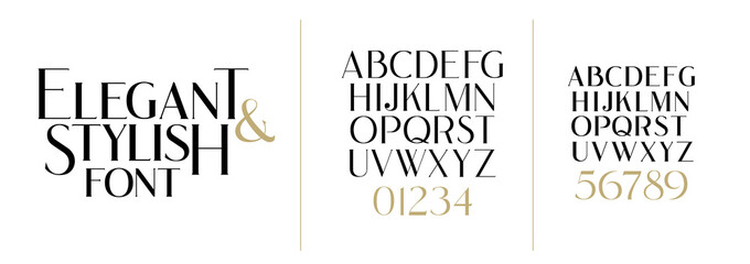 vector illustration. stylish elegant vector composite font. set of letters english