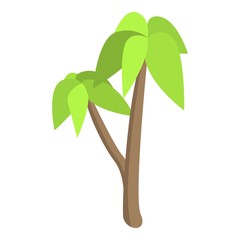 Wall Mural - Palm tree icon. Isometric of palm tree vector icon for web design isolated on white background