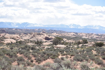 Canyonlands National Park, Utah. U.S.A. Beautiful pinyon and juniper pine and red sandstone moutains