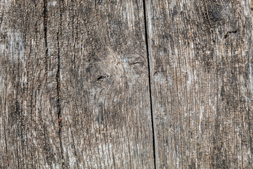 Grayish Old Weathered Wood Texture