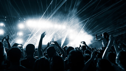 Wall Mural - Back view of music fans having fun in front of stage during live performance.