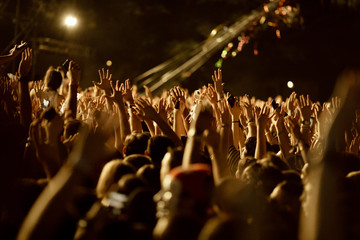 Wall Mural - Cheering crowd at music festival.