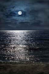 Canvas Print - Moonlit night by the sea.