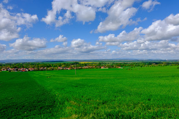 Sticker - landscape with green field and blue sky