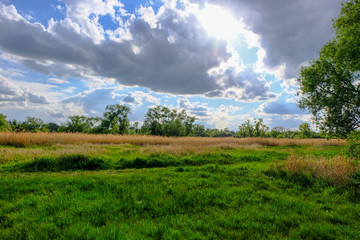 green field and blue sky