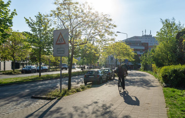 Wall Mural - bicycle in the park