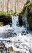 © Alisha - Frozen Head State Park in Central Tennessee
