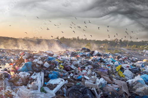 Fotomural Sunrise Sun above the ocean of garbage