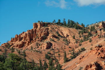 Poster - Red Canyon