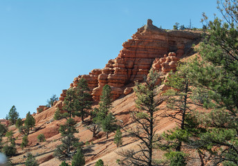 Poster - Red Canyon