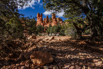 Poster - Red Canyon