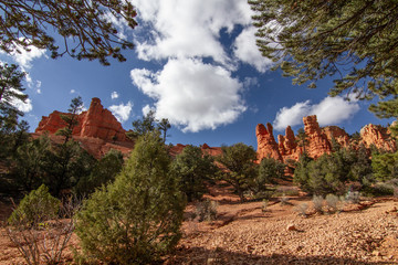 Poster - Red Canyon