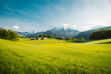 Idyllic landscape in the Alps with blooming meadows in springtime