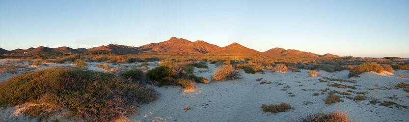 Wall Mural - Baja California, beach, Mexico, Cortez sea, Gulf of California