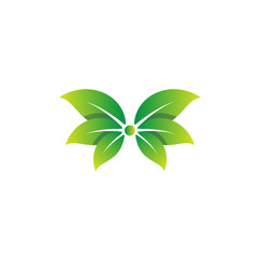Wall Mural - nature leaf logo design vector illustration icon element