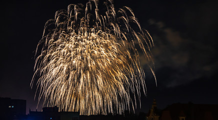 Fireworks close up over the night city