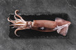 Fresh raw whole squid on slate stone on dark stone background. Seafood, top view, flat lay, copy space
