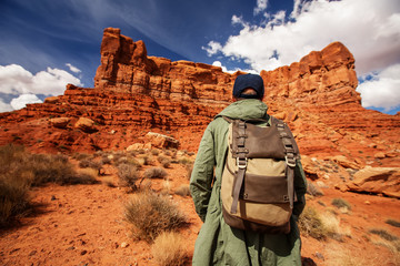 Wall Mural - hiker in valley of gods, usa
