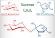 Sucrose sugar molecule. Structural chemical formula and molecule model