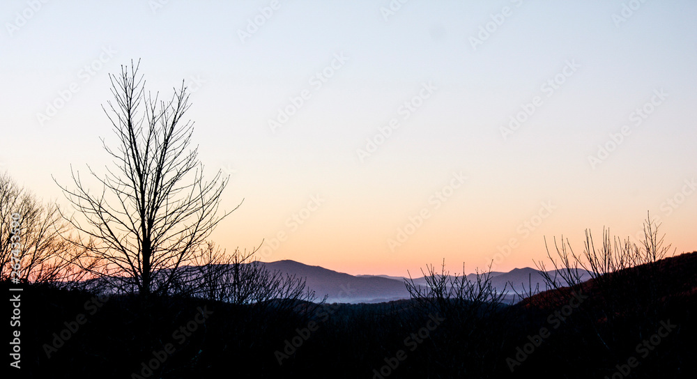 Autumn Dawn in Grayson Highlands State Park in Jefferson National ...