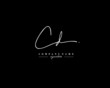 © ARTLERY DESIGN - C D CD Signature initial logo template vector