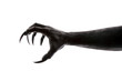 Creepy monster claw isolated on white background with clipping path 