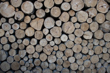 A Wall Of Folded Logs In Brown And Grey. Front View.