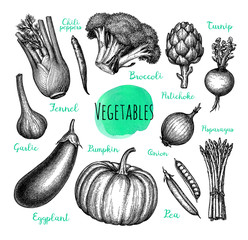 Canvas Print - Ink sketch of vegetables.