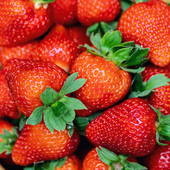 Wall Mural - Close-up ripe fresh tasty organic strawbery backround. Fresh red berry wallpaper