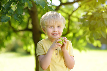 Little boy having fun with apple in domestic garden.