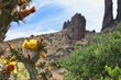 Blooming Cholla Superstition Mountains Mesa Arizona Rock Desert 