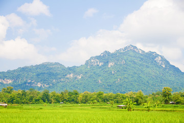 That perfect mountain, cloud and skyscape view with the wide field in the farming season.