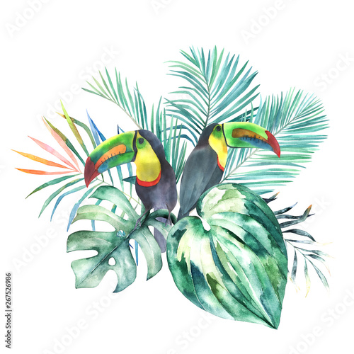 Watercolor summer print with toucans and tropical leaves. Isolated illustrati...