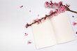 © Fototocam - mock up notebook and sprigs of the apricot tree with flowers on white background . Place for text. The concept of spring came, happy easter, mother's day.Top view.Flay lay.