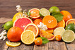 orange fruit, lemon, grapefruit selection