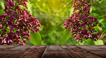 Wall Mural - Spring background table. Green floral background, blurred background. Young green leaves, grass. Wooden table, sunlight, rays.