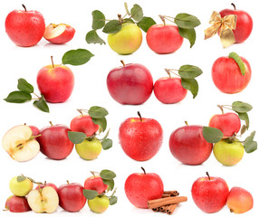 Wall Mural - apple on a white background