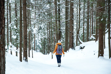 Wall Mural - Beautiful woman in winter forest