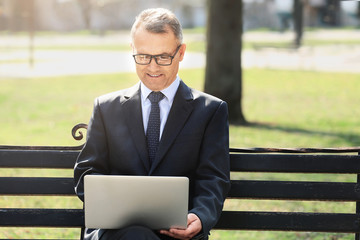 Wall Mural - Handsome mature businessman working on laptop outdoors