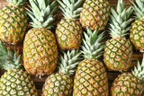 Many ripe pineapples as background