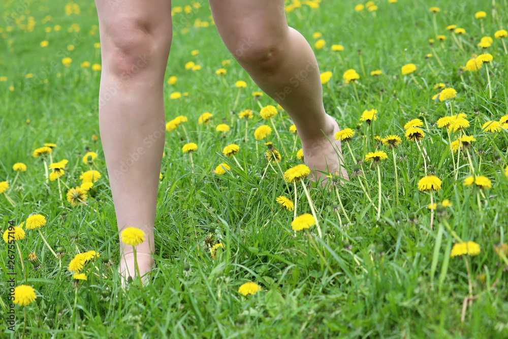 Barefoot girl runs on green meadow with blooming dandelions, naked