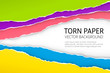 Torn edge paper background. Colorful vector templates.