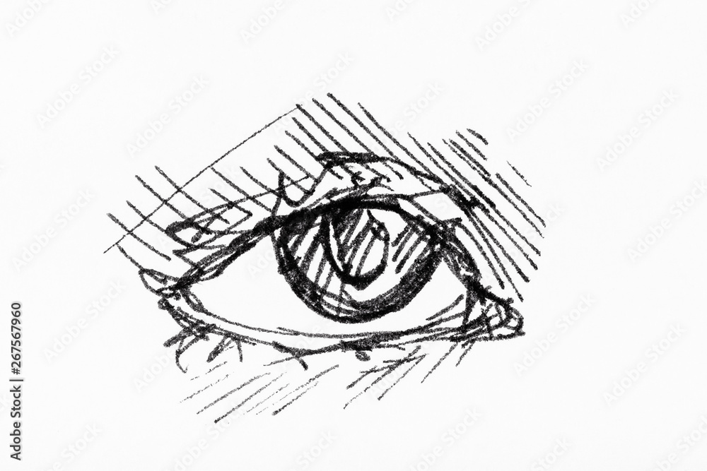 sketch of human eye hand drawn by black ink Stock Illustration | Adobe ...