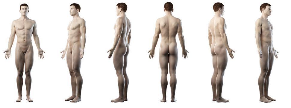 3d rendered medically accurate illustration of a healthy man