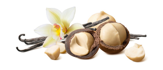 Wall Mural - vanilla beans and macadamia nuts isolated on white background
