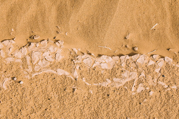 Desert landscape in morocco