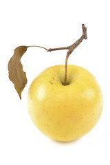 Wall Mural - apple on a white background