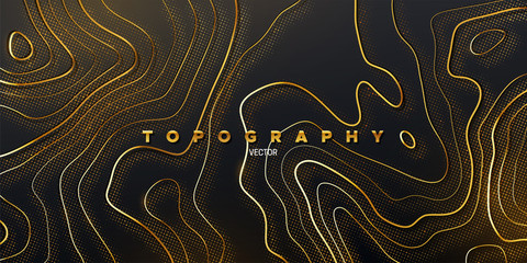 Poster - Topography relief. Abstract background. Vector illustration of curvy golden paths textured with shimmering glitters. Outline cartography landscape. Modern poster design. Trendy cover with wavy lines